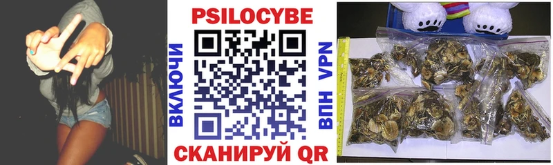 Купить  Шенкурск  Псилоцибиновые грибы GOLDEN TEACHER 